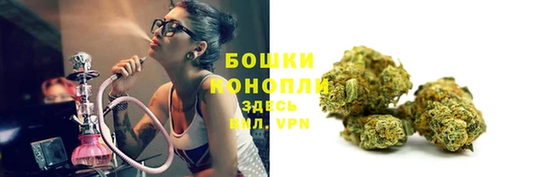 ПСИЛОЦИБИНОВЫЕ ГРИБЫ Белоозёрский