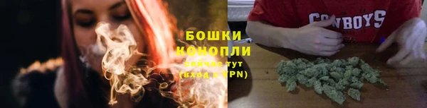 PSILOCYBIN Беломорск