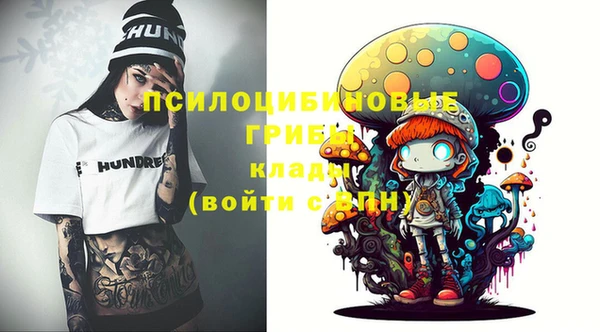 PSILOCYBIN Беломорск