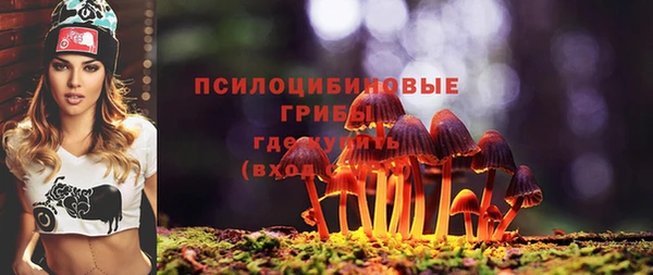 ПСИЛОЦИБИНОВЫЕ ГРИБЫ Белоозёрский